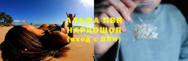 стафф Верхний Тагил