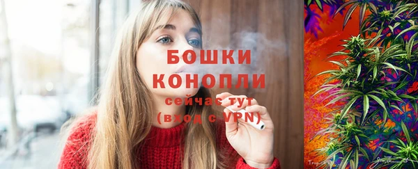 стафф Верхний Тагил