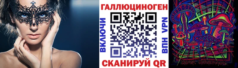 Купить  Мещовск  Псилоцибиновые грибы GOLDEN TEACHER 